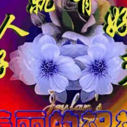 599190047老玩童