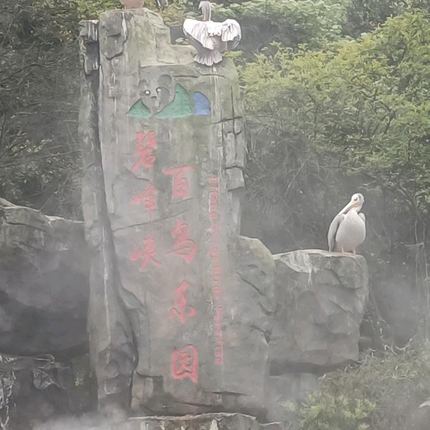 用户9009520112602