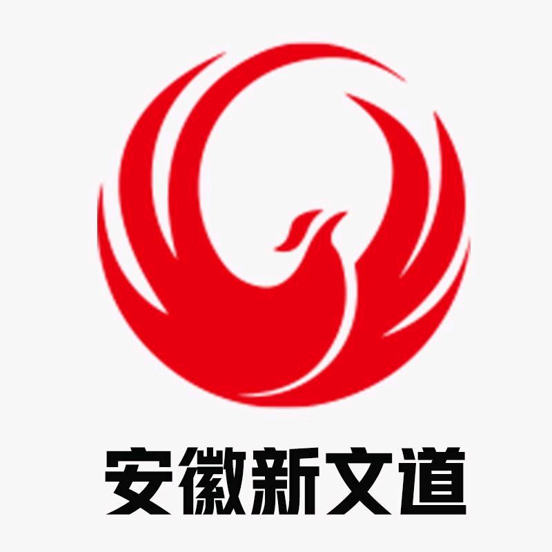安徽新文道考研