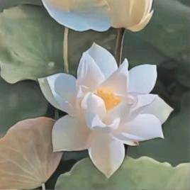 用户7545653498748