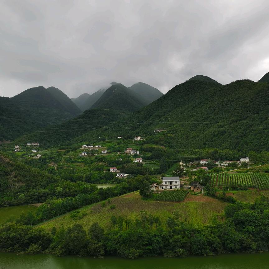 海 子