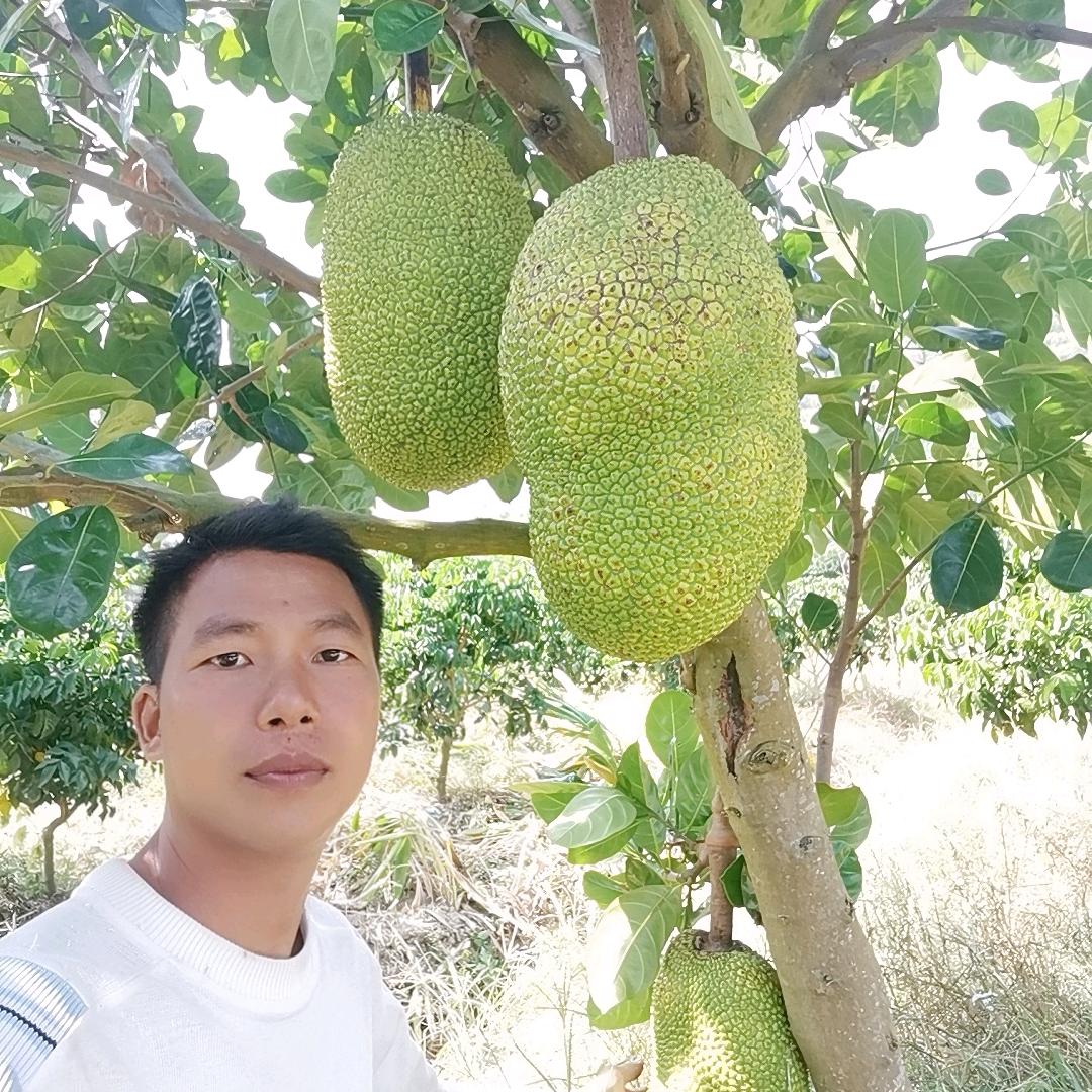 小颜农副产品经营部