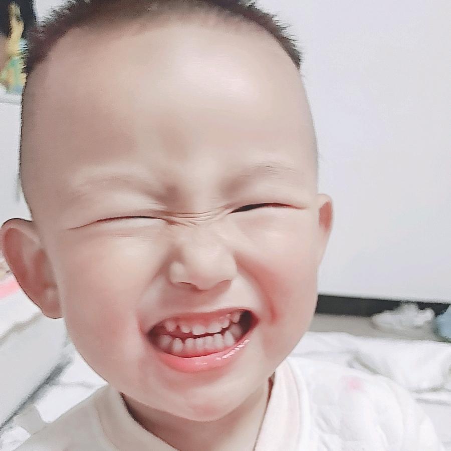 王豆豆