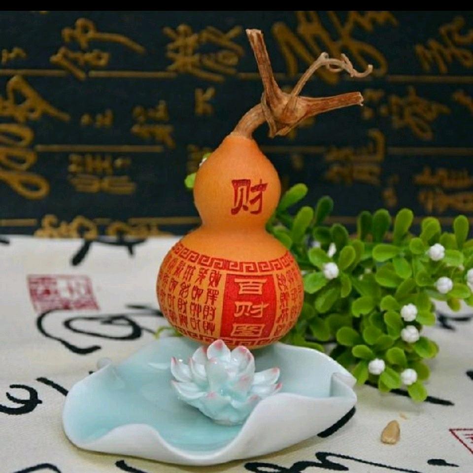 他乡客人