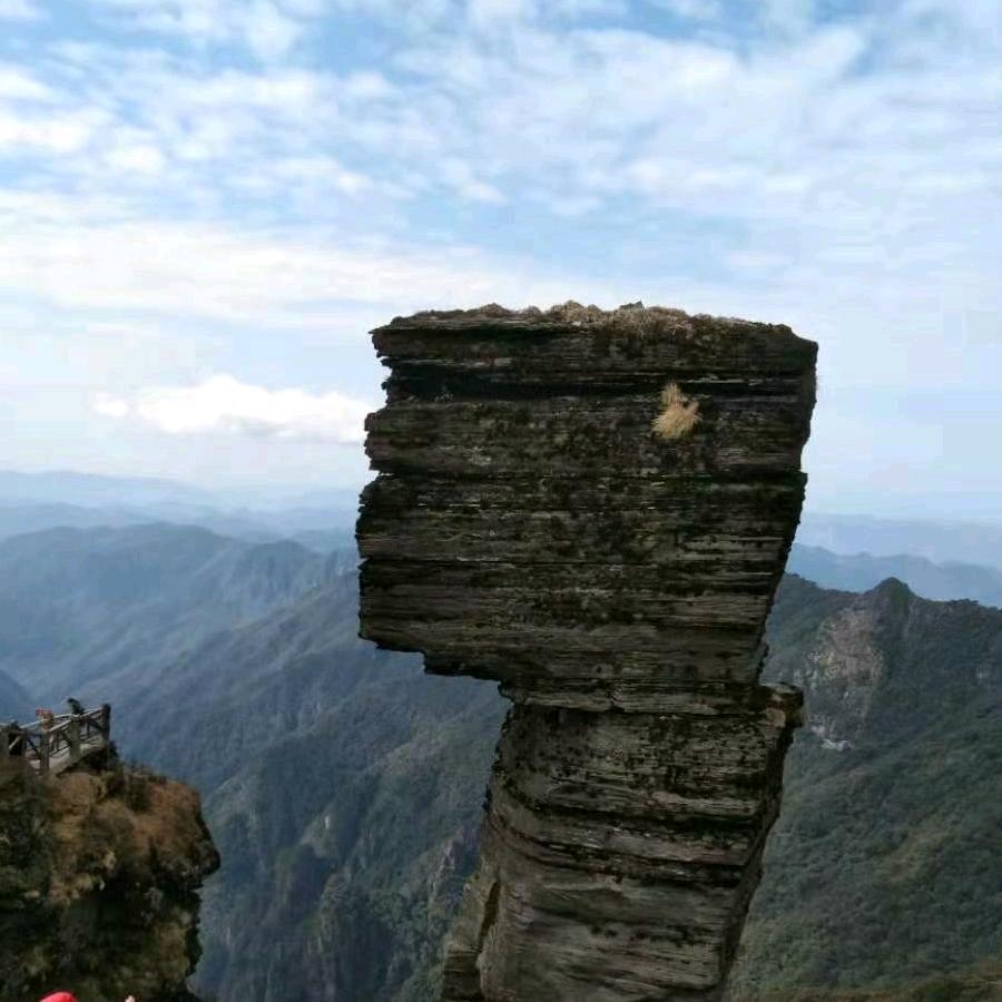 唐十一
