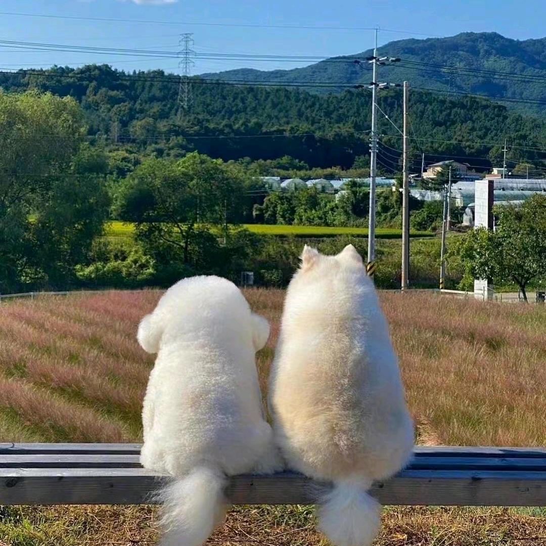 九三.