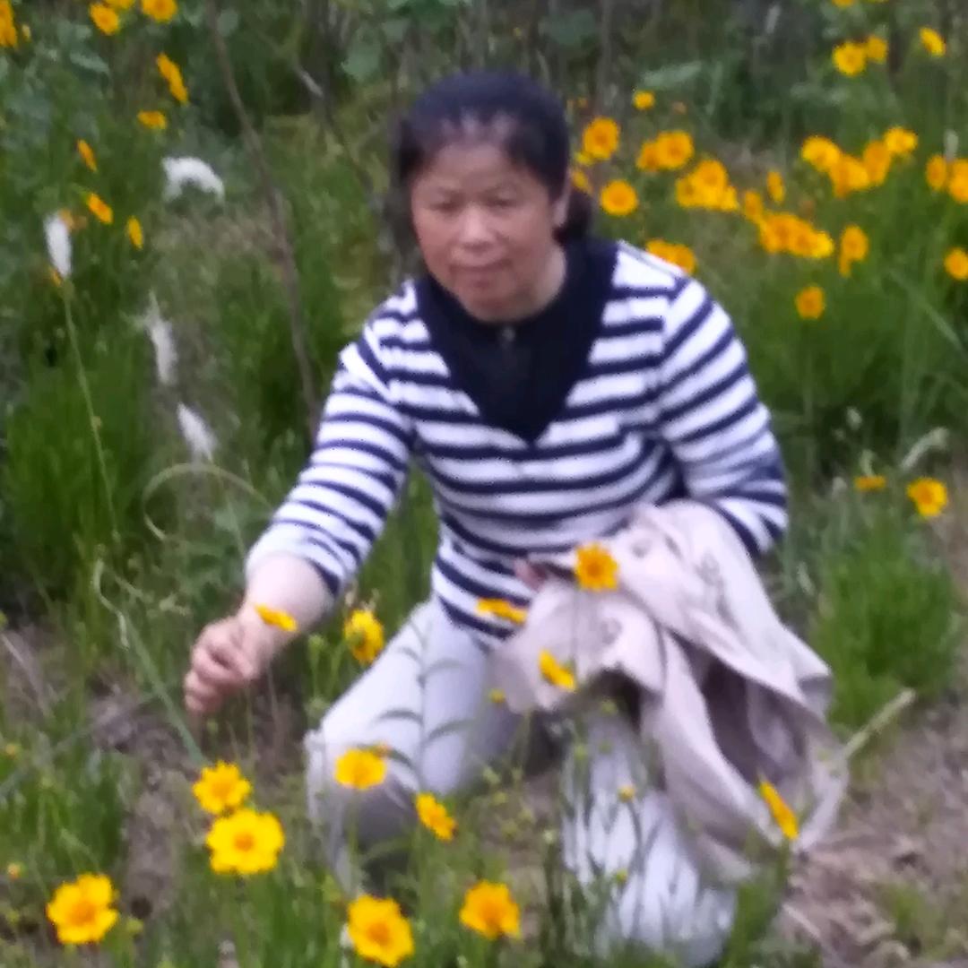 起点
