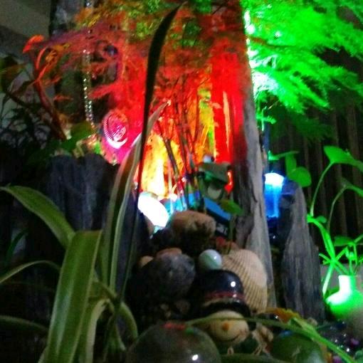 三白荡乐园