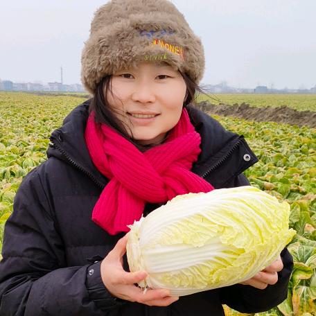 瑞雪菜园（湖北天门农家菜）