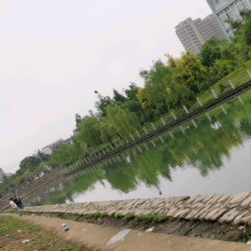 海 燕 房 产 中 介