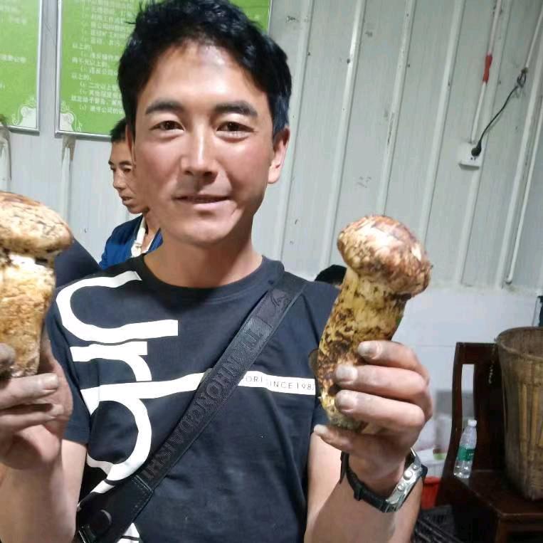 小金虎哥
