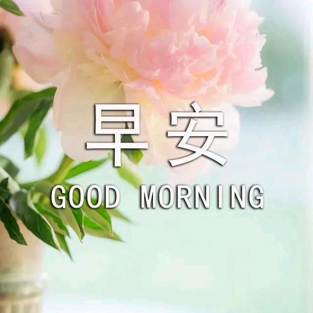 随心远航