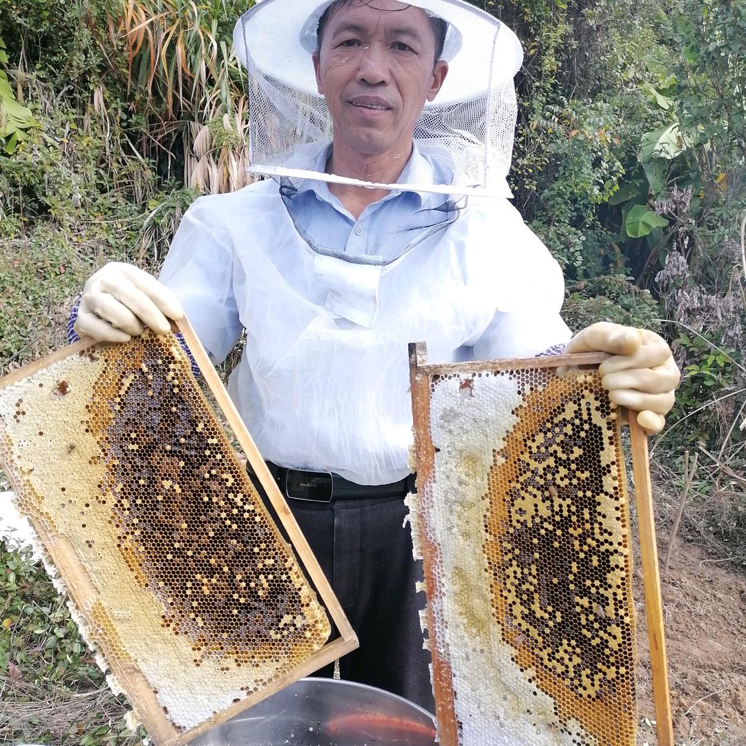 永泰蜜蜂王