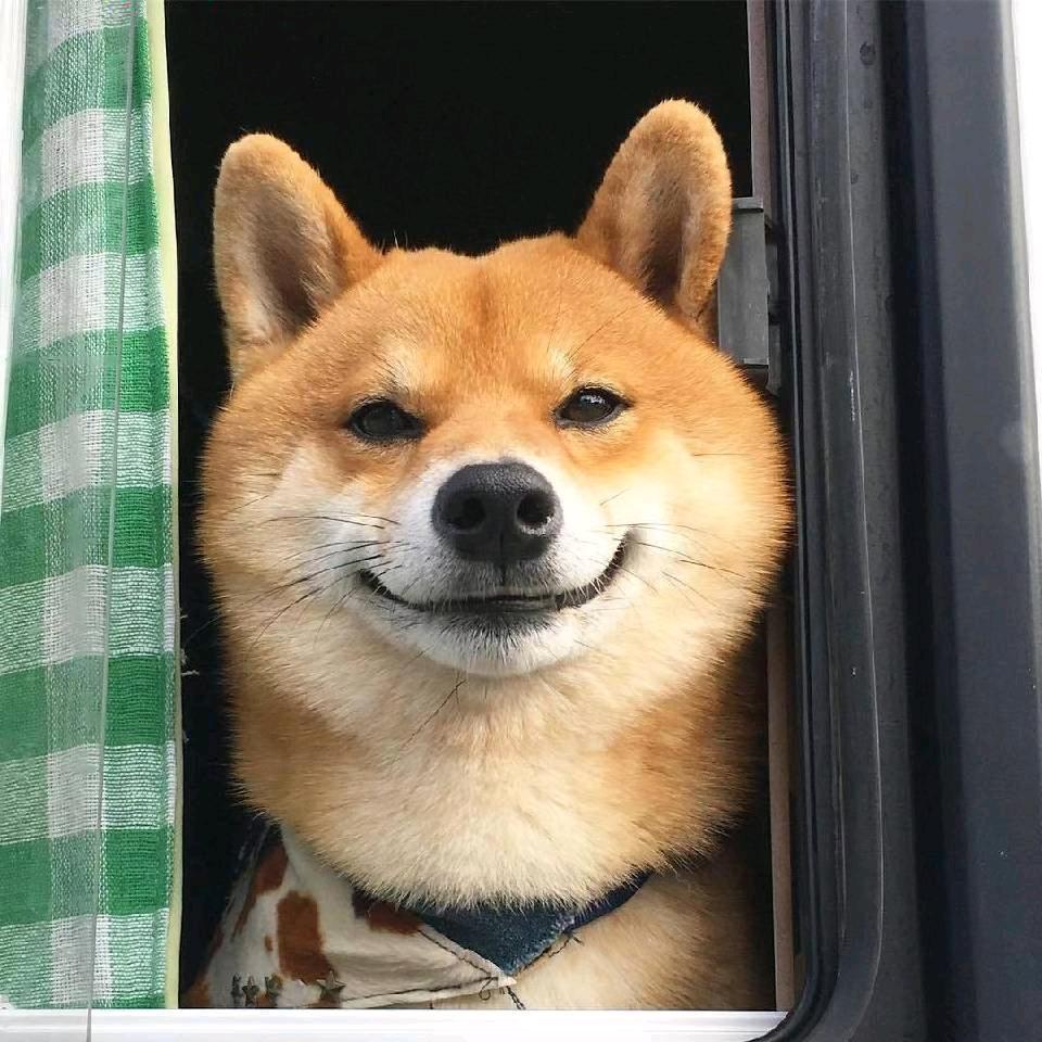 蒙对了