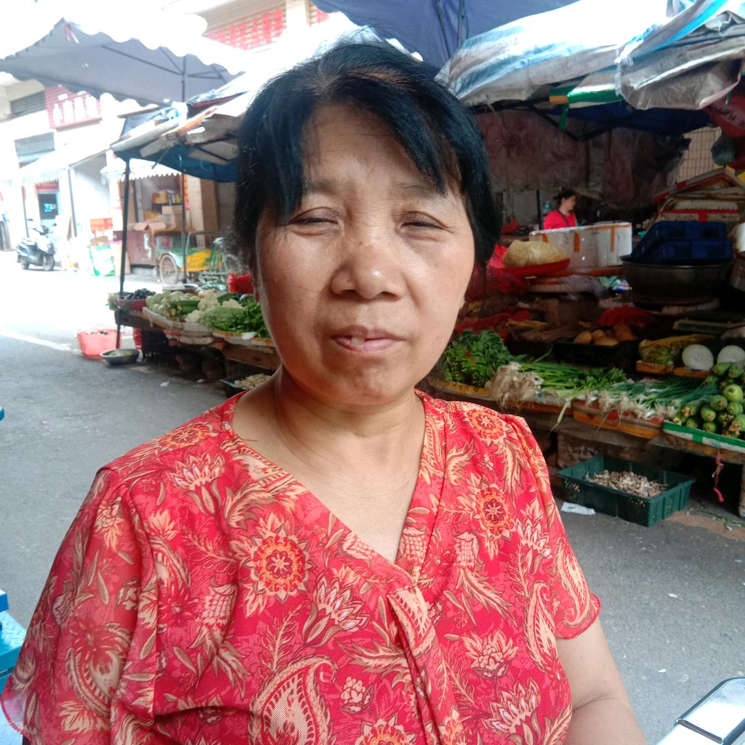 陈美凤