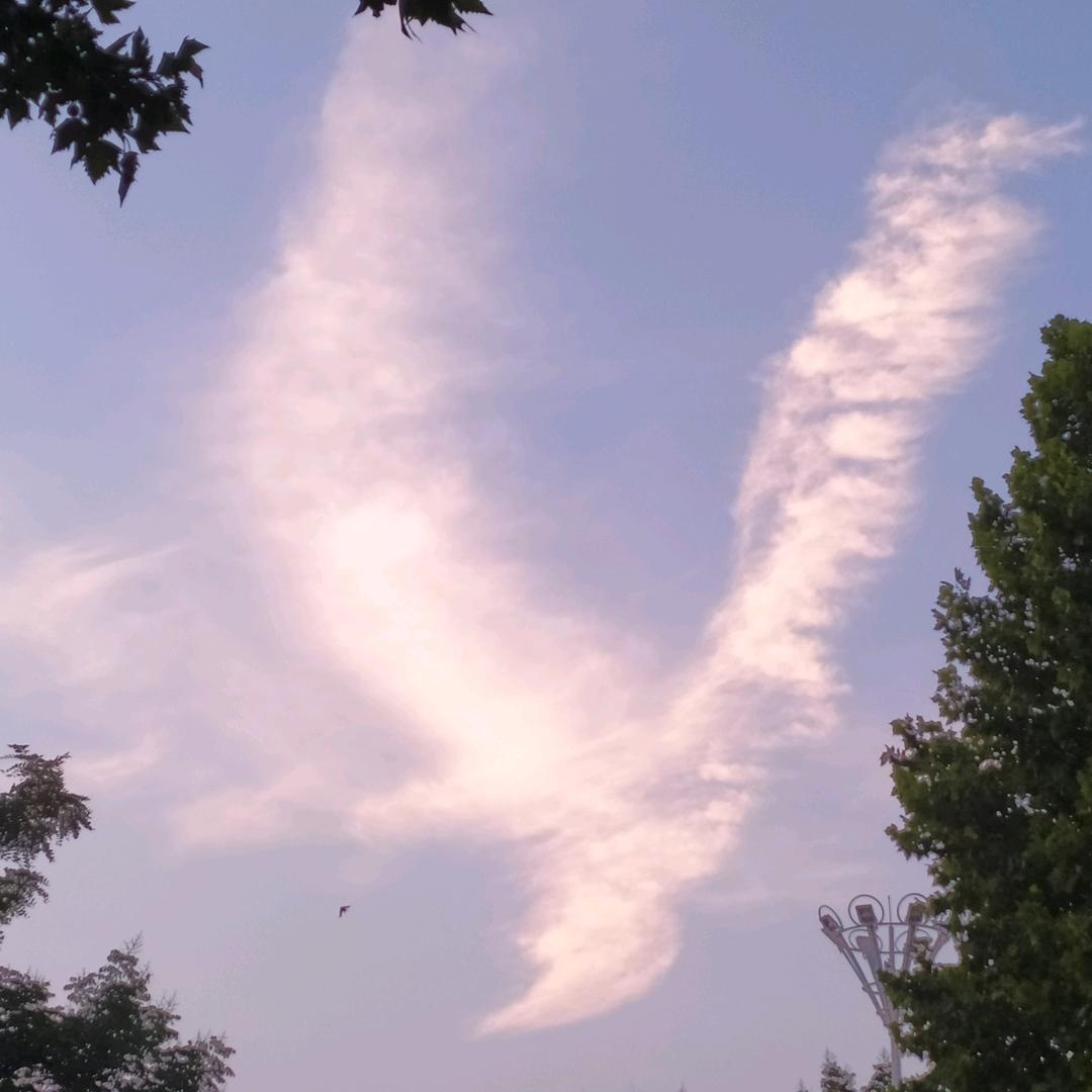 新乡北阳房产经纪有限公司