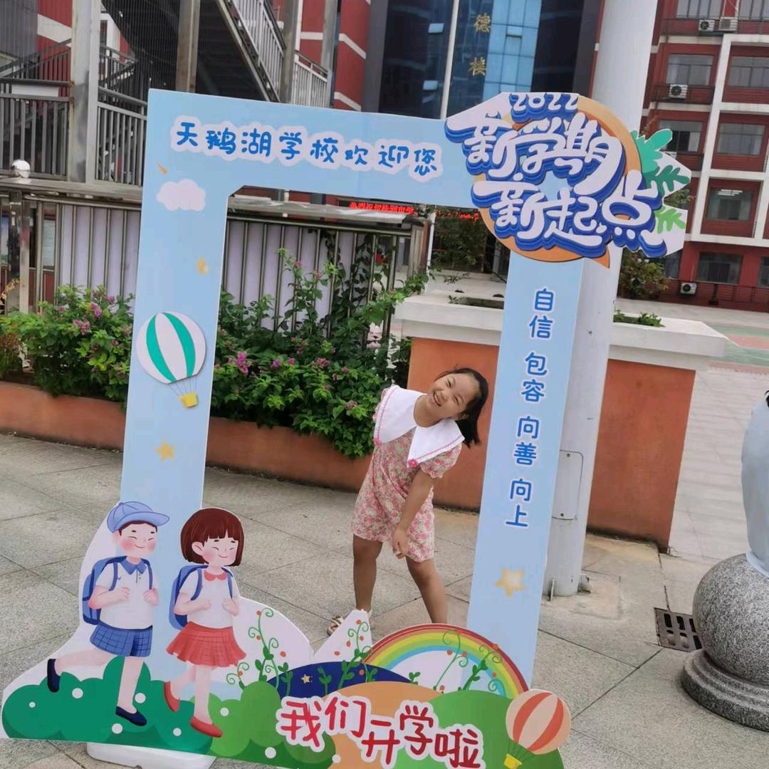 双哥