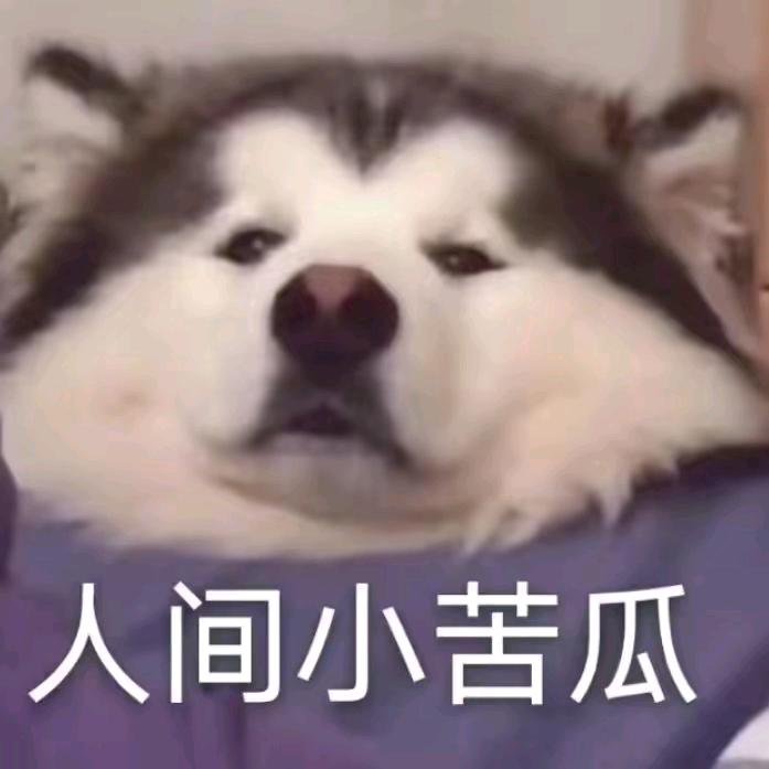 AUGUST