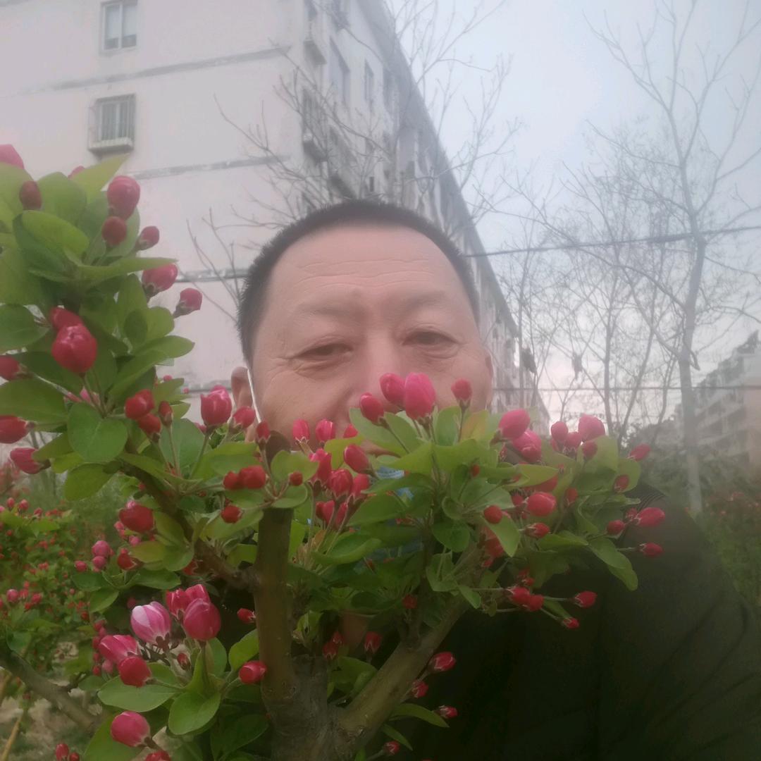 用户张庆新9366174253582