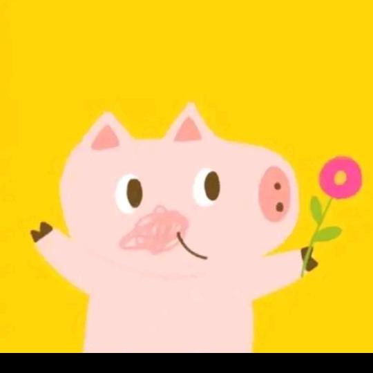 一只仙猪奔远方