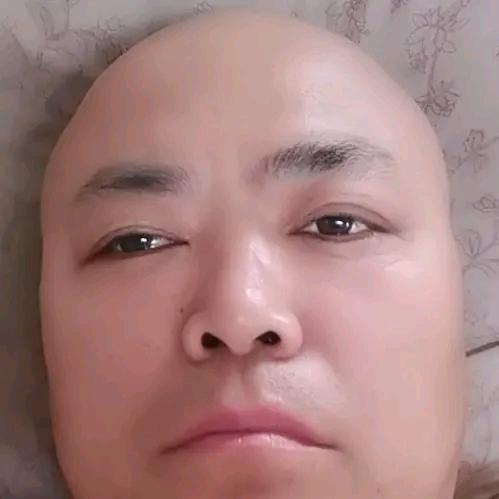 网红研究圈