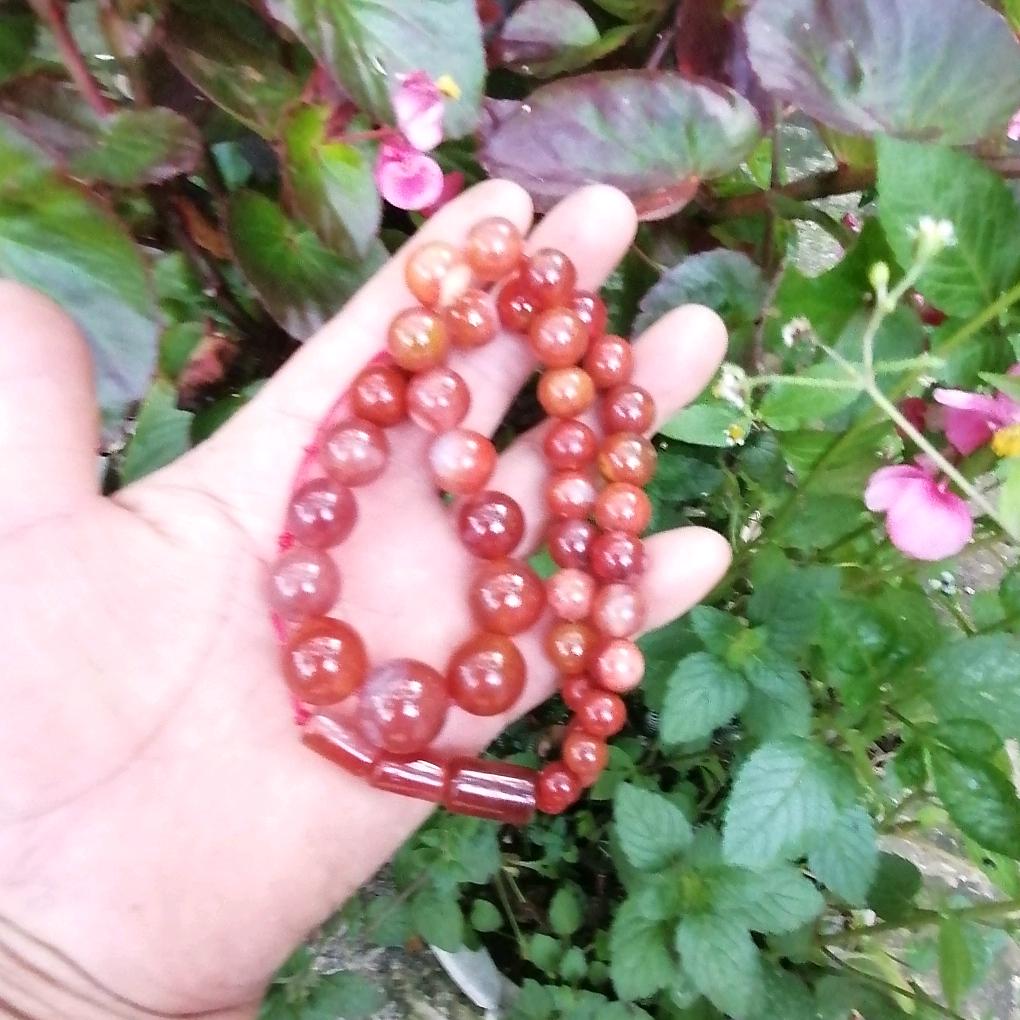 春暖，