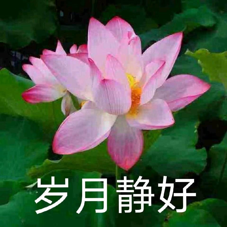 养生王叔