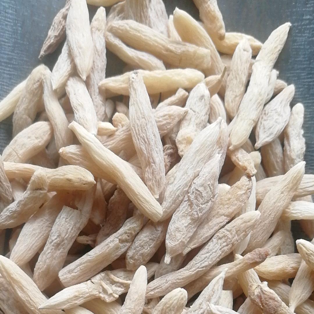 麦冬…y
