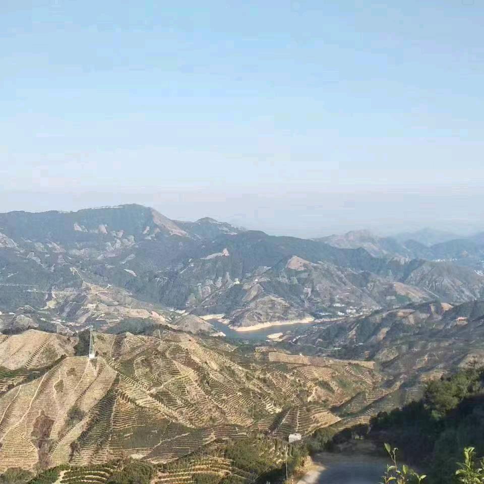 @乐乐℘࿐