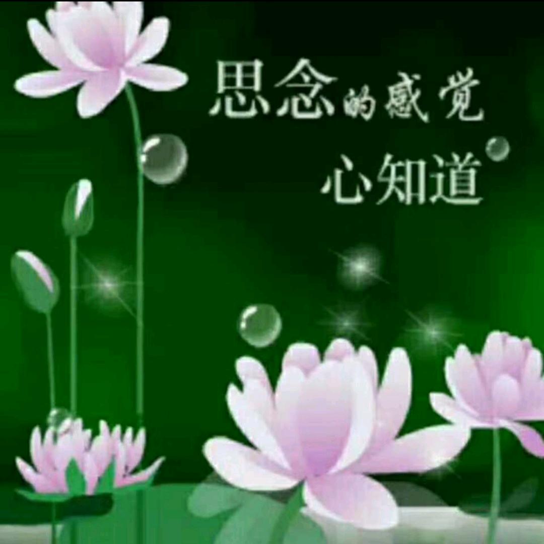 关注点赞
