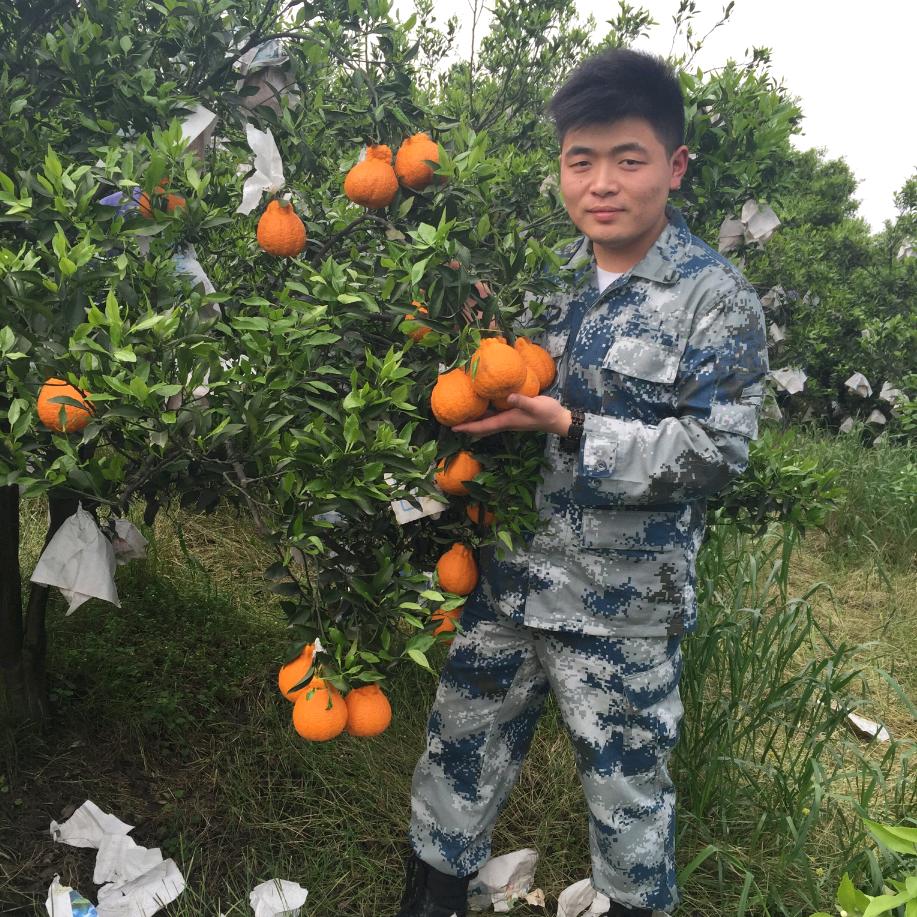 一凡鲜臻