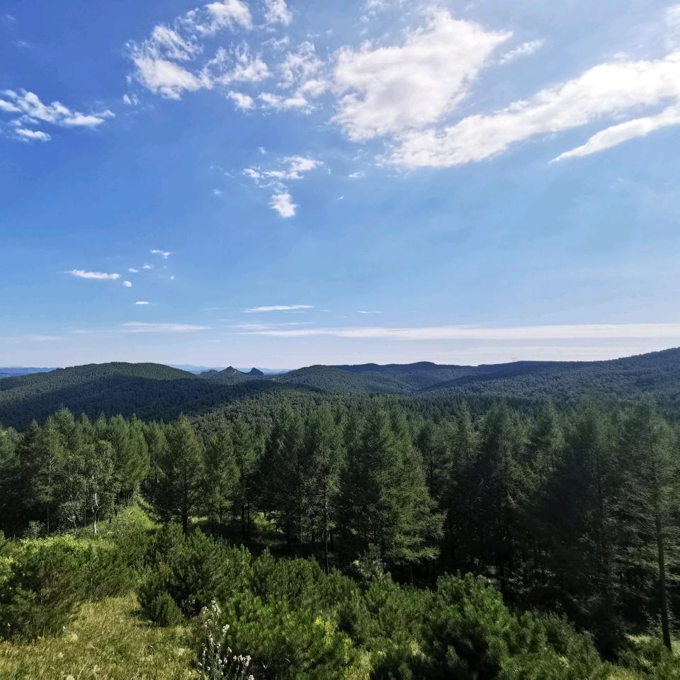 站着就比躺着累