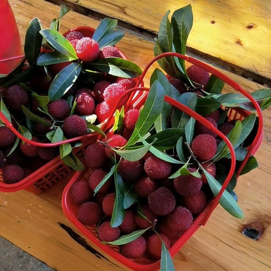 学车咨询！请咨询小莫教练