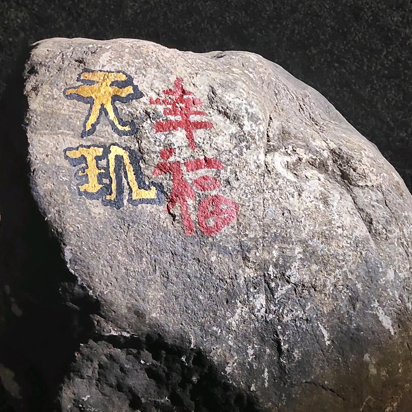 龙