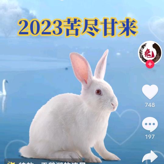 用户9花开富贵79754