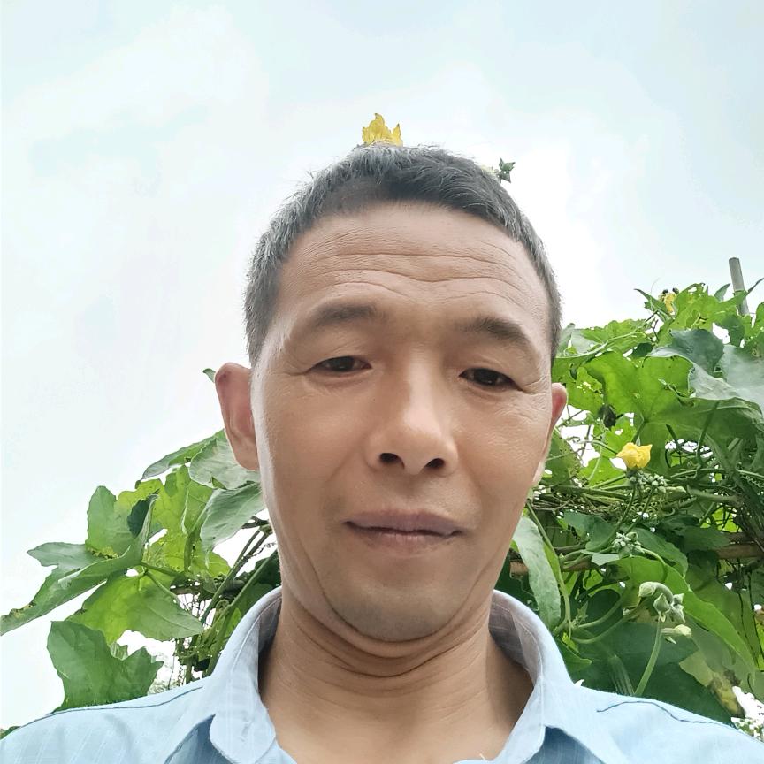 陪你去闯荡
