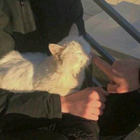 失而复得我定珍惜