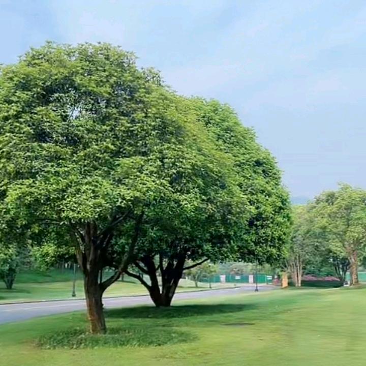 好好1