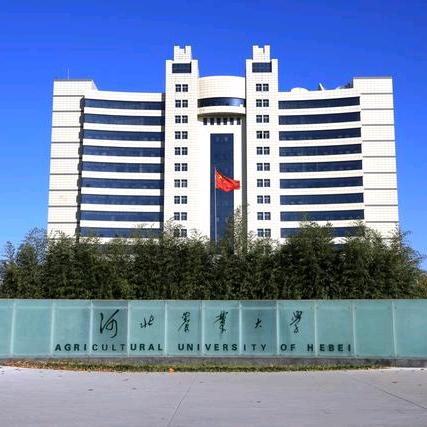 创业北漂 畜牧自由人