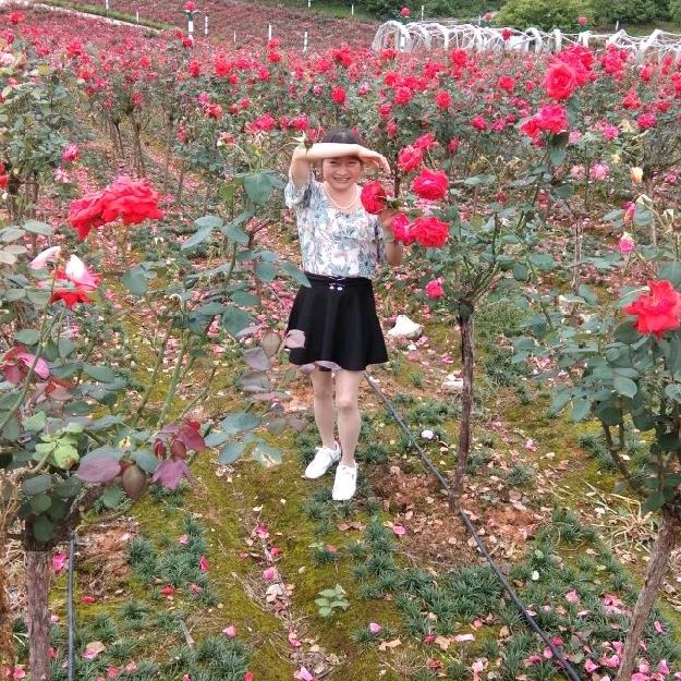 。独立  1点~2点开