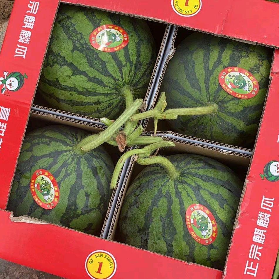 夏邑县田大棒瓜果蔬菜代办