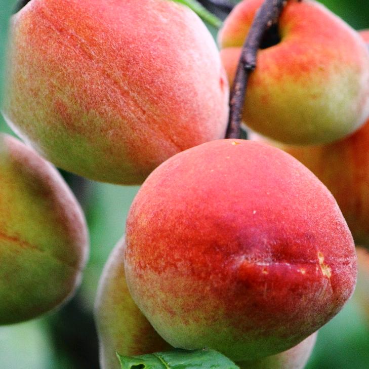 广西小萌山贸易有限公司