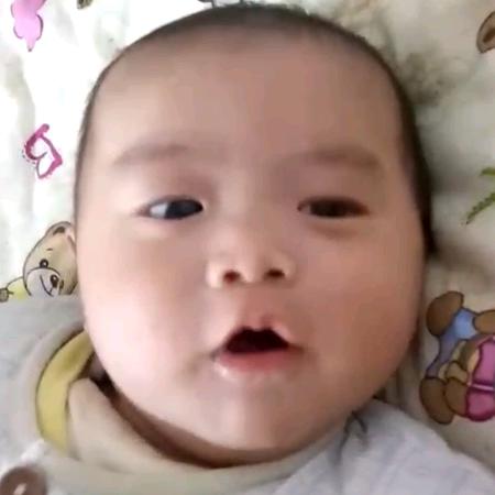 小绵羊