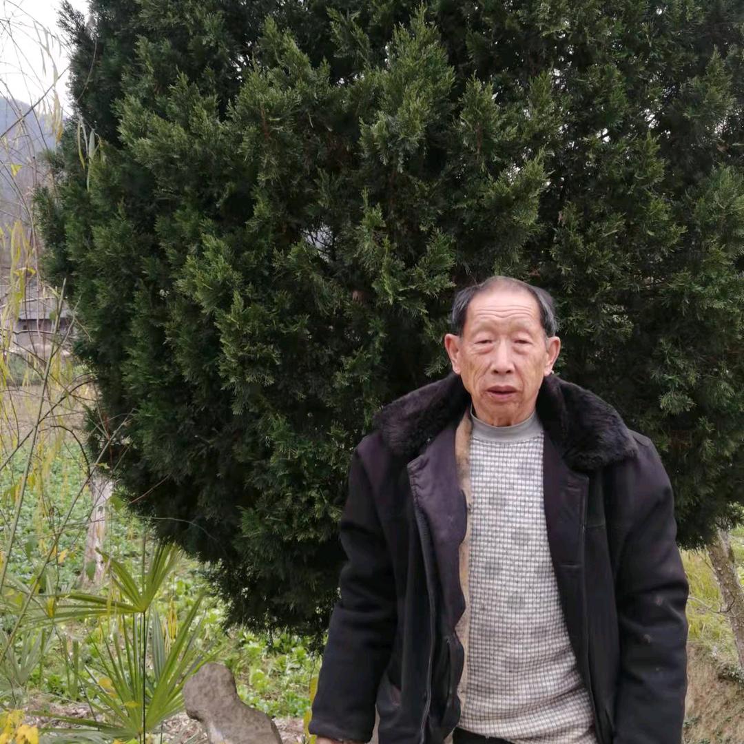 天才