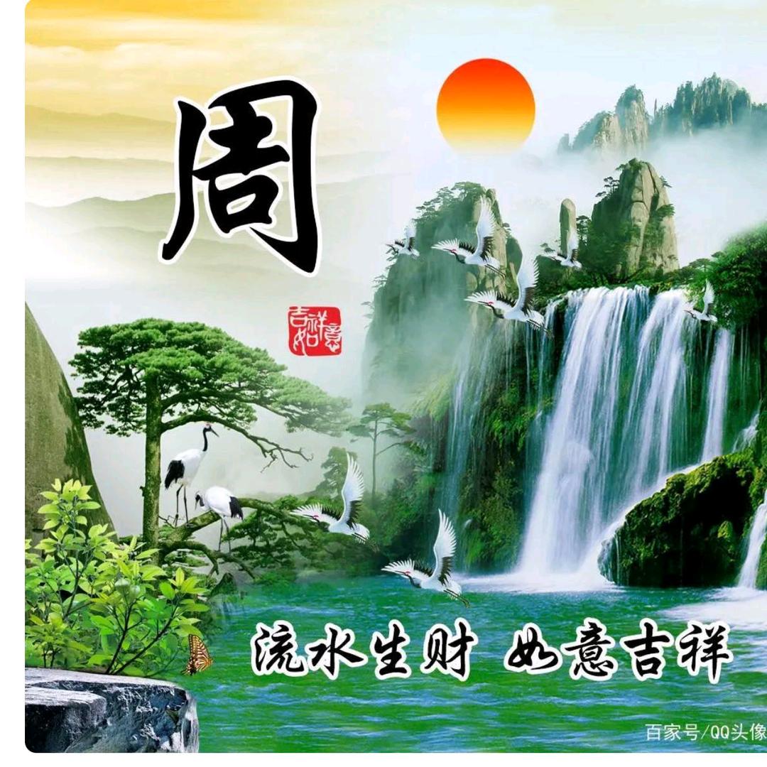 岁月年轮