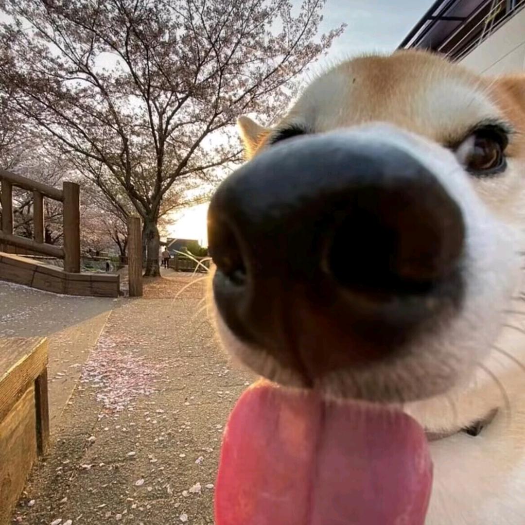 等。