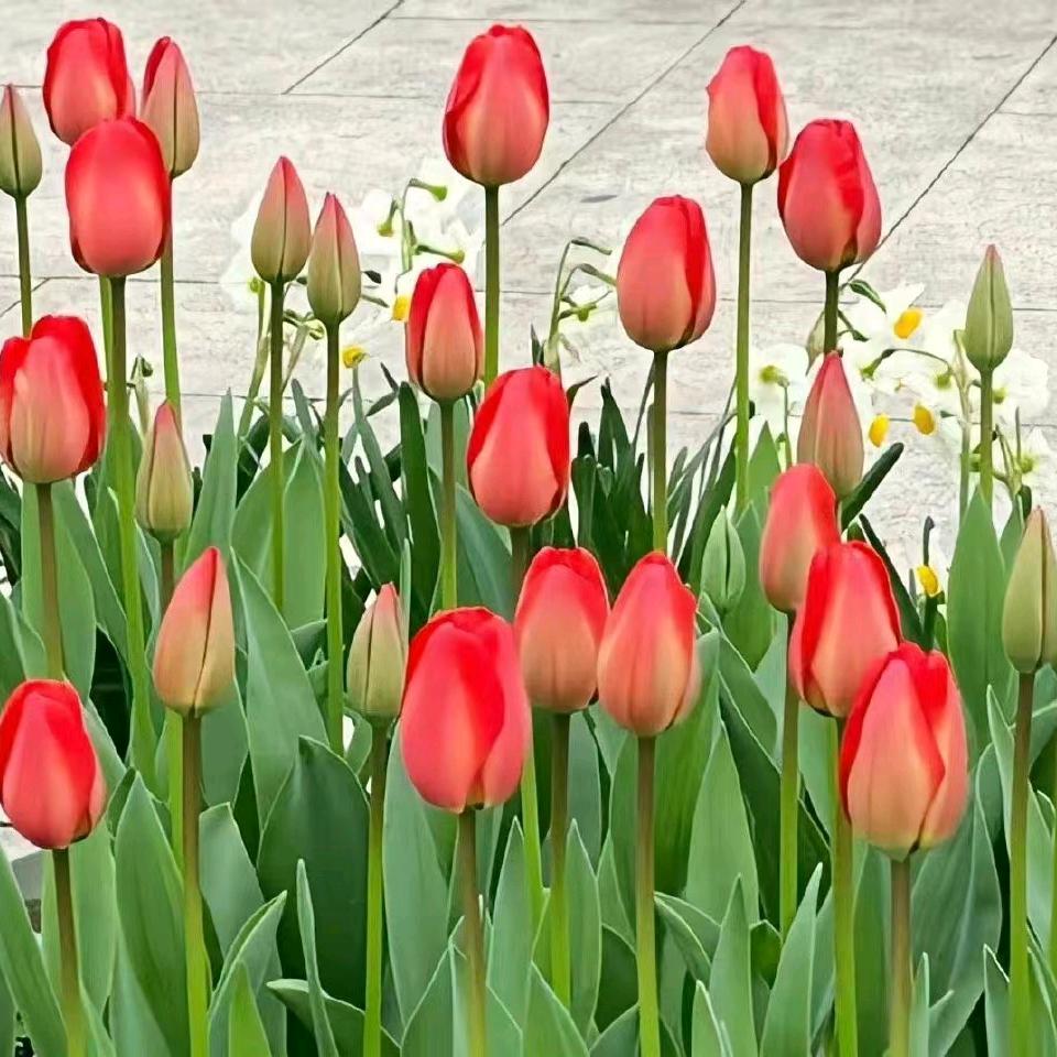 岁越静好
