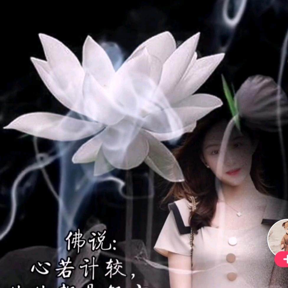 初心%