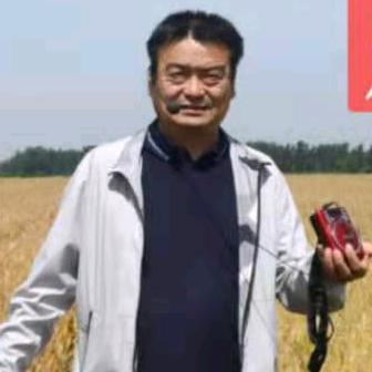 豫宛老张讲农技