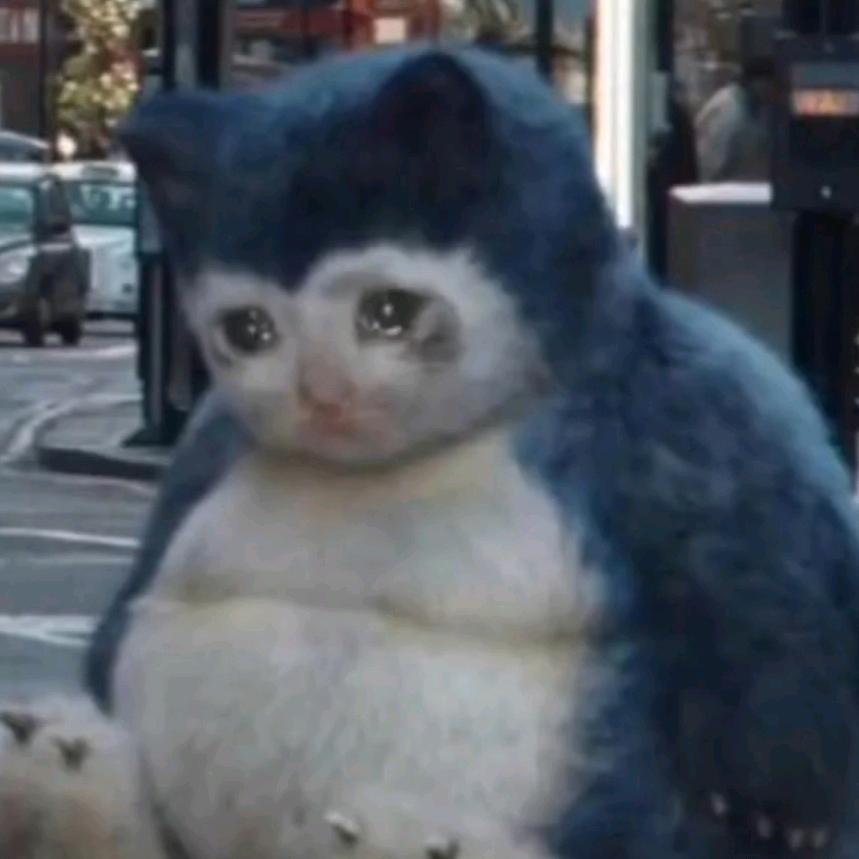 ssss